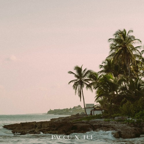 Paccu & Tui - Aeto