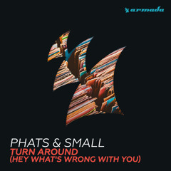 Turn Around (Hey What's Wrong With You) (Extended Mix)