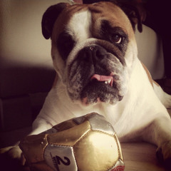 when i go.       Thembakedlaces