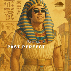 past perfect
