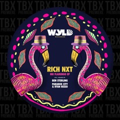 Premiere: Rich NXT - Party Jay (Ben Sterling Remix) [WYLD]