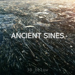 Ancient Sines Palindrome