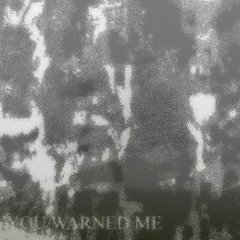 you warned me
