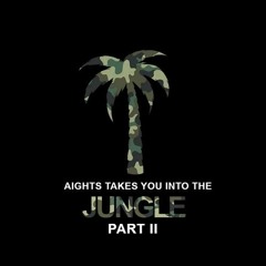 Aights Takes You Into The Jungle Part 2 (Mix Set)