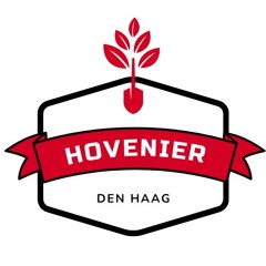 De Juiste Planten Kiezen Voor Jouw Tuin