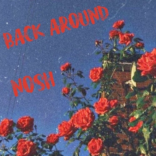 Back Around by Norwall (nosh remix)