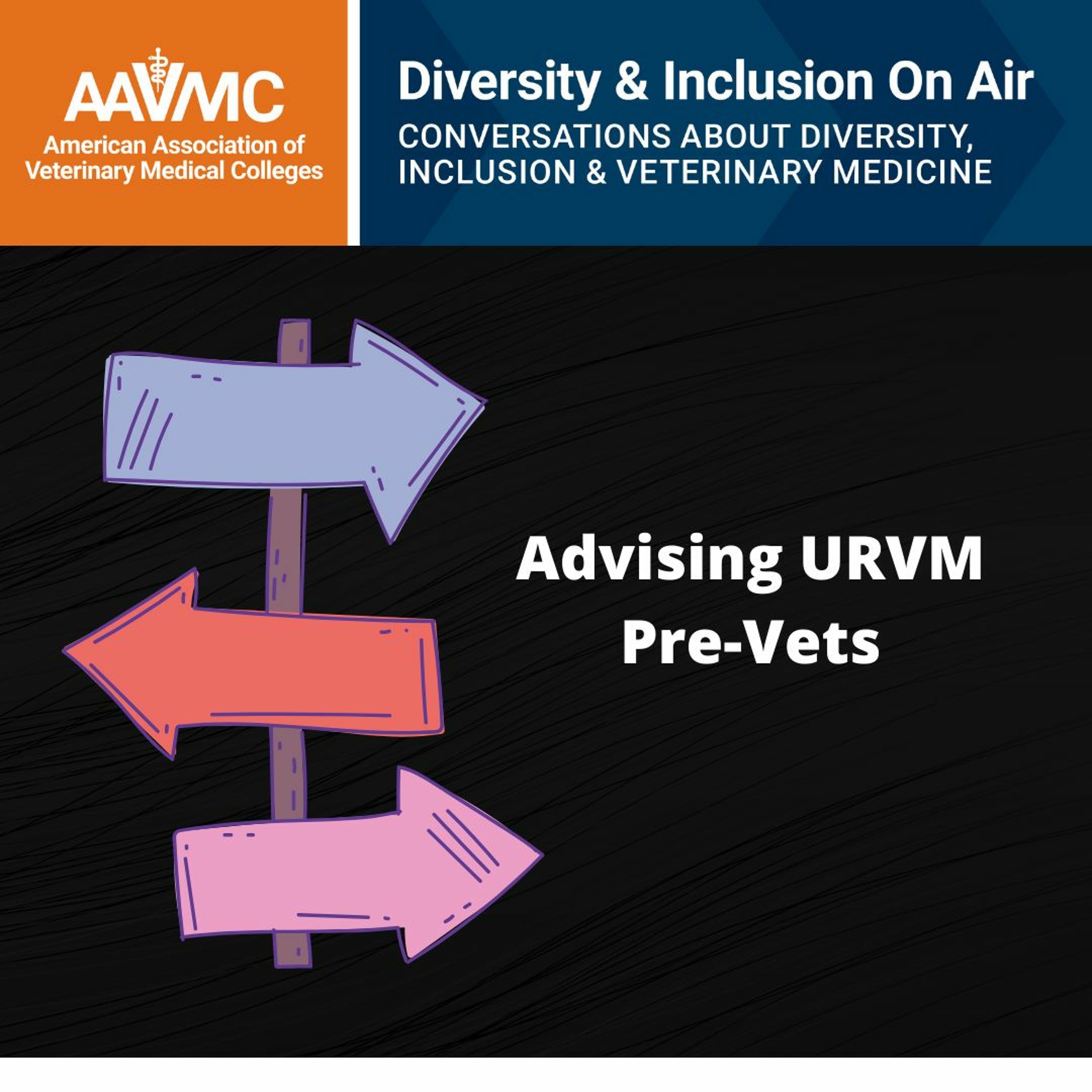 AAVMC\'s On Air: Conversations about Issues in Veterinary Medicine
