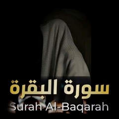الشيخ عمر ضياء الدين