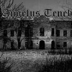 Angelus Tenebris 2-In The Abyss (Ft D.A Vocal)