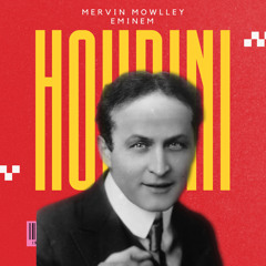 Houdini - Eminem (Mervin Mowlley Remix)