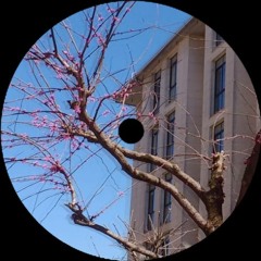 october jack - Beat 💜