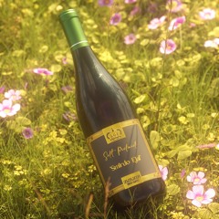 𝕊𝕞𝕚𝕣𝕕𝕠 𝔼𝕛𝕒𝕝 @ 🍾Sekt Picknick🍾 25.5.24