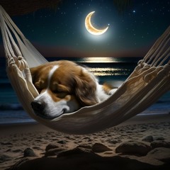 New Aged Piano Music For Restless Dogs Part 4