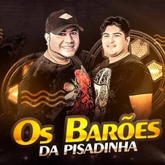 BAROES DA PISADINHA - NUNCA VAI SER EU [ Prod. DJ MEIRELLES ] BEAT VAPOALIEN