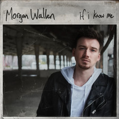 Morgan Wallen - The Way I Talk