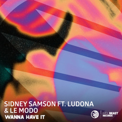 Wanna Have It (feat. Le Modo & Ludona)