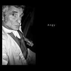 ANGY MUSIC UK Lunar Records - Changer