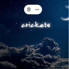 Crickets