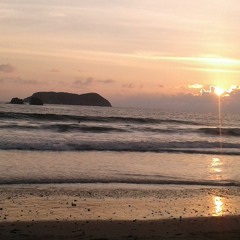 🌴Sunset☀️420🌴