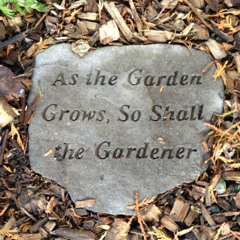 give it a go (original) prod: sam calisto