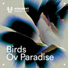 MNMT 477 : Birds Ov Paradise DJ mix artwork - Electronic music tracklist cover image