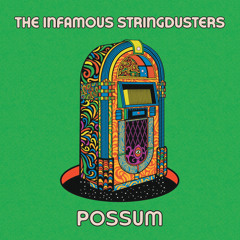 Possum