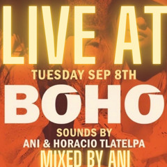 ANI Live @ Boho Miami