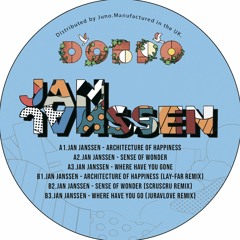 Jan Janssen - Sense Of Wonder