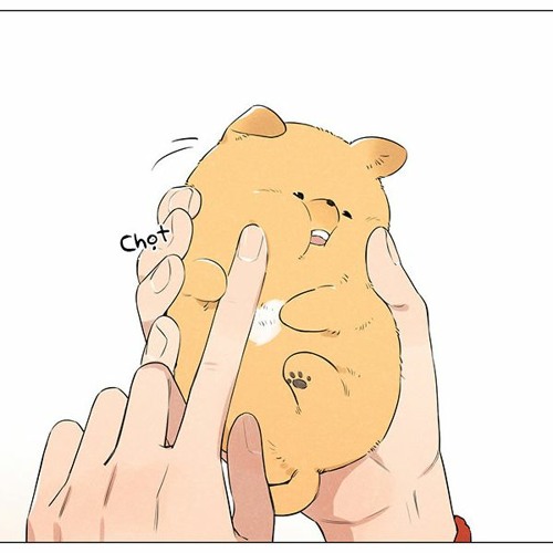 Nếu Như - Trịnh Nhuận Trạch  || 如果呢 - 郑润泽 ||