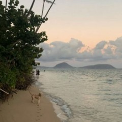 (m4a) (asmr) relaxing at the beach ~ boyfriend cuddling, hair playing, water sounds