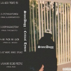 Stonedogg - No Pain No Gain (Prod. DJ Akoza)