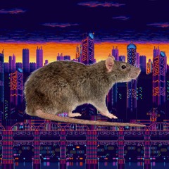 rats meme