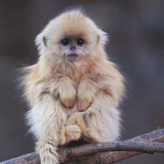 uwerenvrminrProdHyukoh.m4a