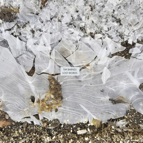 At The Threshold (feat. Darin Gray, Glenn Kotche & Jim O'Rourke)