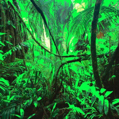 deejay p - calm guy moving lean off the brazilian sizzurp in the palmy depths ⋆｡°✩