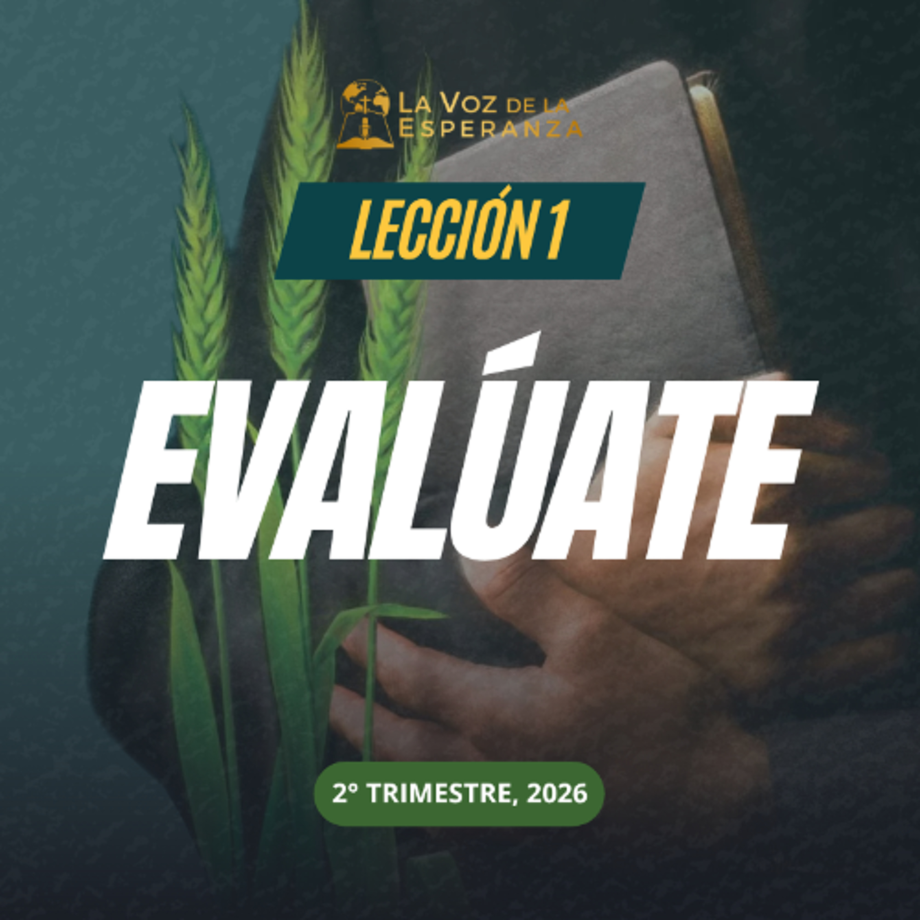 Lección 01 - Evalúate