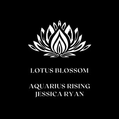 Lotus Blossom