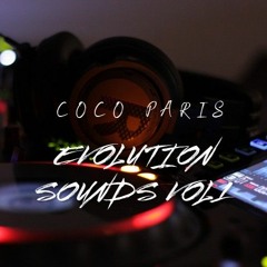 Evolution Sounds Vol1