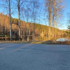 den-saken-er-grei.mp3