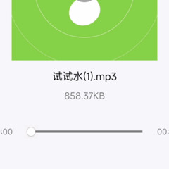 试试水(1).mp3