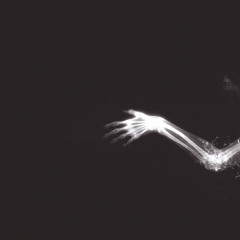 VEINS I (first version)