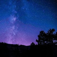 I Tried Final.wav ACIDIFIED