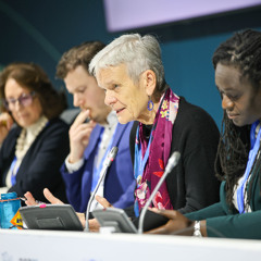 COP29 side event ‘Solar Radiation Modification: A Conversation on Governance and Research’