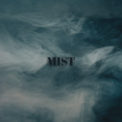 Burak Guler - Mist (Original Mix)