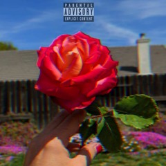 Will You Love Me Tomorrow?