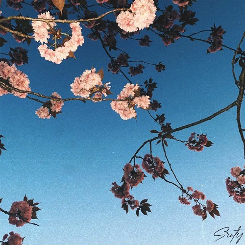 Quick Friday 2k21 Samples (Prod. Axjunior)