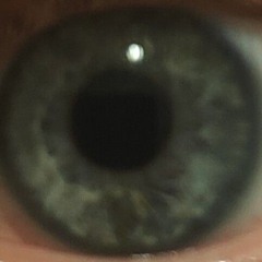 This Is Your Brain On Acid