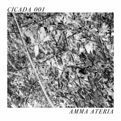 CICADA 001 | AMMA ATERIA