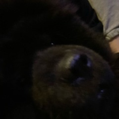 selfie.mp3