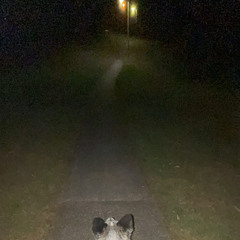 Played that shit (demo) - Vol.21